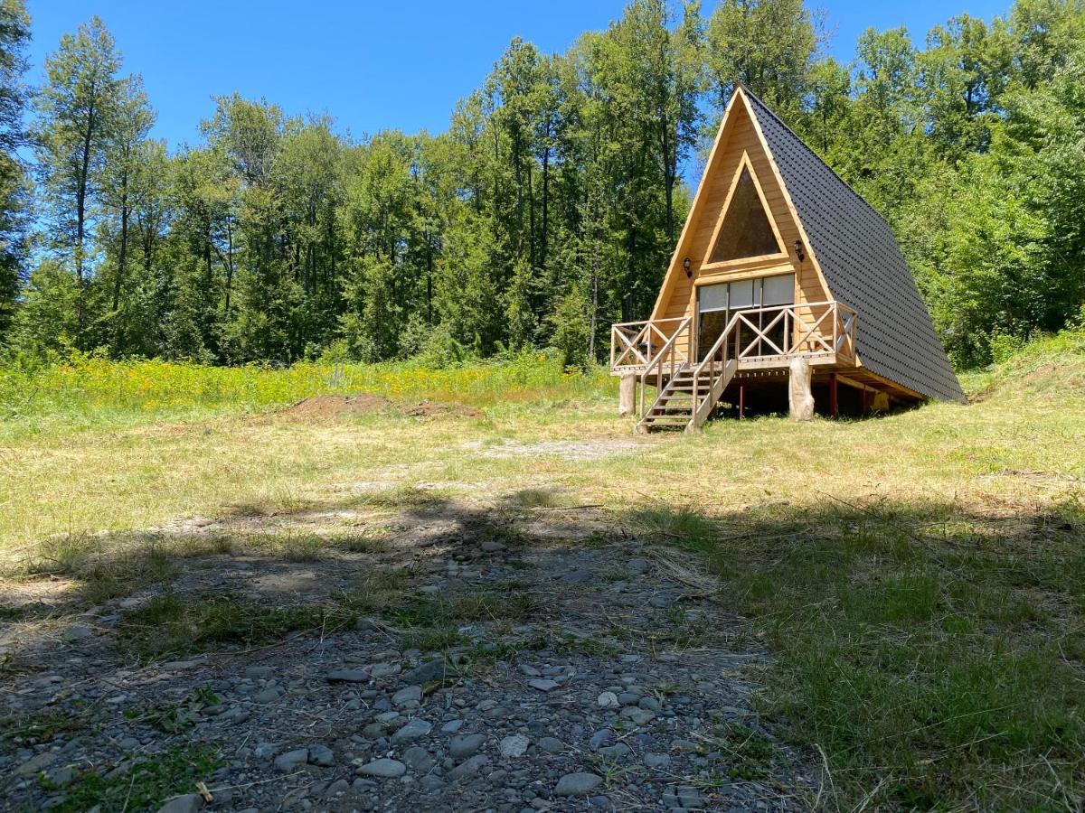 Holiday home Araucaria *