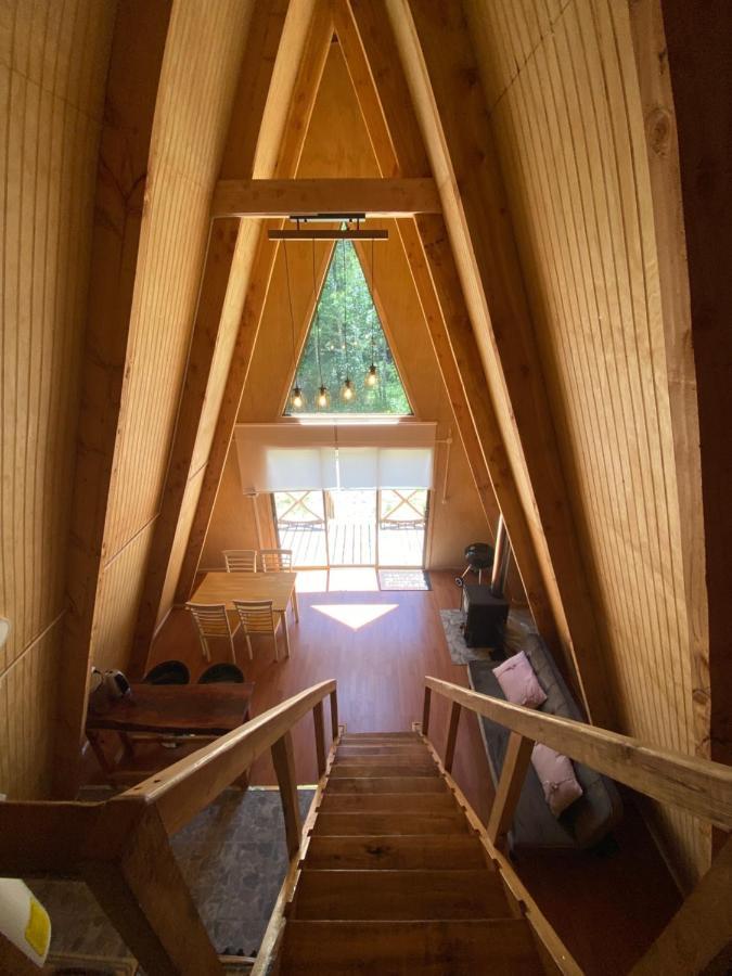 Araucaria Holiday home *