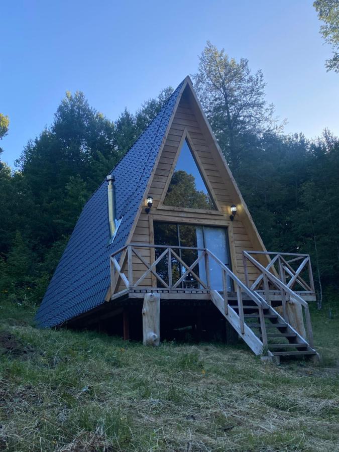 Holiday home Araucaria
