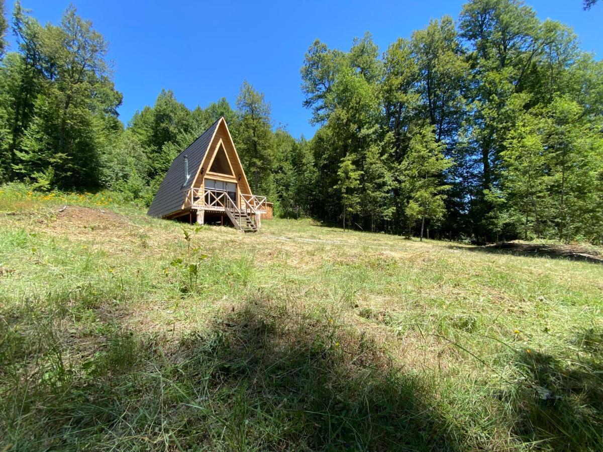 Araucaria Holiday home