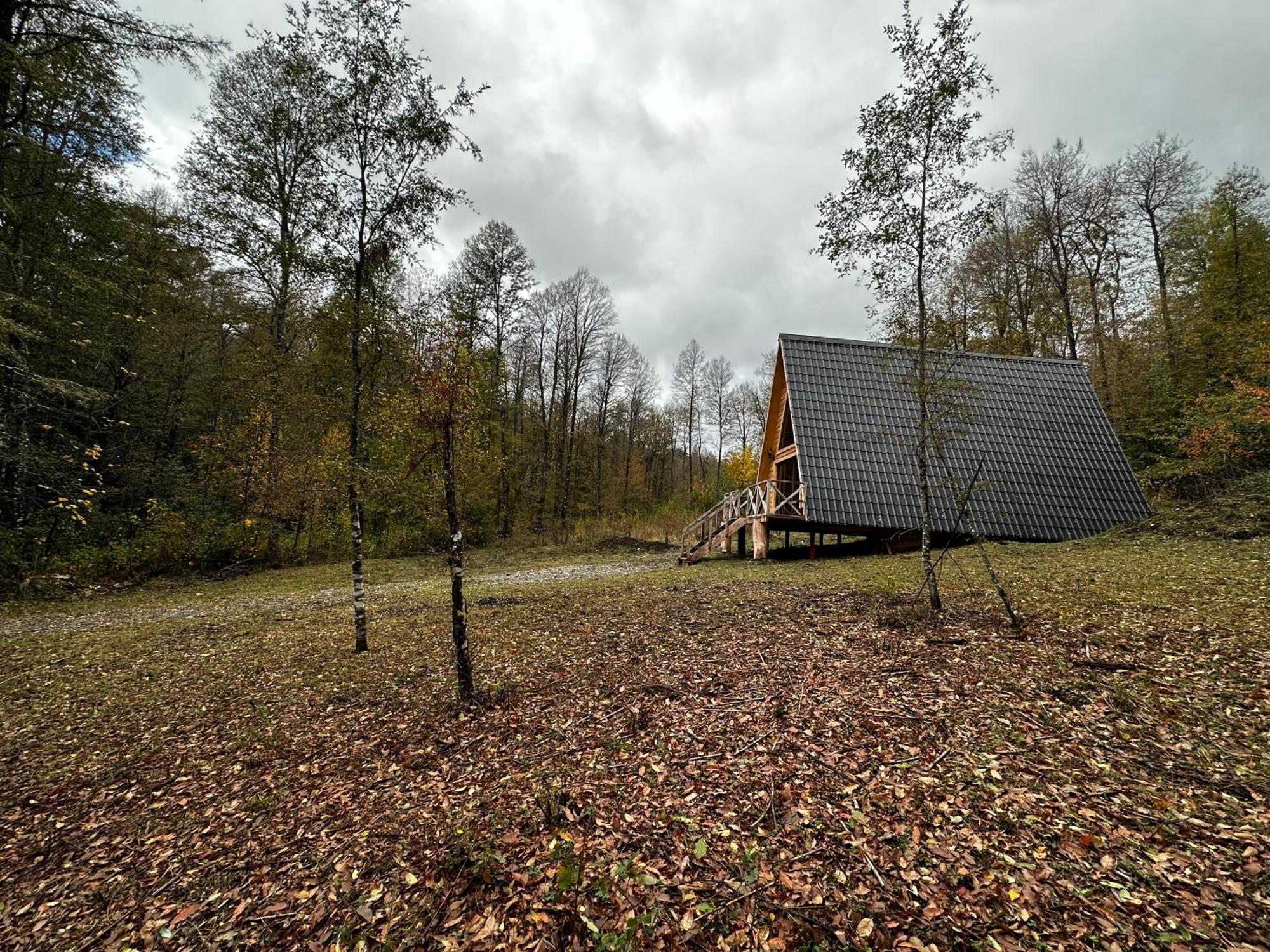 Holiday home Araucaria